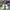 LOUIS VUITTON TRAINERS SIGNATURE GREEN WHITE SNEAKERS , LOUI photo 2
