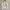 Russell Athletic Vintage Y2K Sweatshirt Pria white gray photo 1