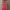 Lingerie Merah (EX Brand VICTORIA SECRET) photo 5