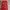 Lingerie Merah