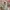 Y2K Swimwear Wanita pink cream photo 5