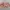 Y2K Swimwear Wanita pink cream photo 4