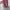 Muslim Wanita pink photo 4