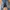 Logo Jeans The Original Raw 1803