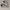 Adidas Tubular Doom sock primeknit photo 1