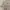 Vintage Luxury Midi Dress Wanita White Tan