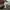 Adidas Rivalry rm low white red photo 5