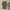 Vintage Luxury Midi Dress Wanita White Green Brown