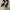 High Heels Fioni black NGO photo 2