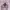 Guess Y2K Emo Bra Wanita pink photo 3