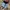 Tornado Mart 3D Floral Flared Pants photo 8
