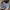 Tornado Mart 3D Floral Flared Pants photo 7