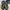 Five ten guide tennie approach shoes photo 1