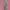 Outer Cream Korea Tanpa Lengan Belted photo 1