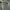 Outer Cream Korea Tanpa Lengan Belted photo 4
