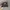 GRACO Realtree hat by CAP AMERICA photo 1