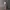 JORTS BAGGY SHORT - JINISO

 photo 7