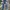 NII Streetwear Jeans Pria navy photo 3