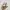 NIKE ZOOMX x INVICIBLE RUN photo 3