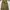 Cargo pants tactical pocket photo 7
