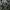 Blouse Floral Panjang N.Y.L.A – Grey Green photo 4