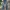 Buckaroo Streetwear Jeans Pria Navy