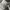 LOUIS VUITTON TRAINERS WHITE BLACK BLUE , LOUIS VUITTON WHIT photo 7