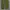 Good life works cargo pants photo 3