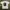 Vintage Y2K T-shirt Pria white photo 1