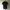 Vintage Y2K T-shirt Pria black photo 2