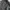 BOMBER JACKET CROP WOMEN - ZARA WOMEN ARMY (Original) photo 2