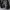 Algonquins Y2K Grunge Shirt Wanita white black photo 3