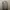 thisisneverthat Casual Sweatshirt Pria gray photo 1
