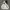 2000's Heavyweight Gray Hoodie Boxy photo 1