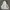 2000's Heavyweight Gray Hoodie Boxy photo 5