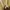OiOi Casual Sweatshirt Wanita cream photo 6