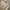 OiOi Casual Sweatshirt Wanita cream photo 4