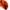 DOLCE & GABANA ORANGE CAP | HAT |  AFM photo 2