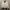 Casual Windbreaker Wanita white photo 1