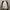 Streetwear Casual Windbreaker Pria white navy photo 1