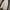 Streetwear Casual Windbreaker Pria white navy photo 2