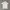 POLO SHIRT BY OSELA photo 1