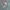 STURGIS SIZE  photo 3