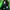OutDoor The North Face Goretex Green  photo 3