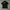 POLO SHIRT BY MIXWELL photo 1