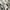 Issey Miyake Mercibeaucoup Paris Japanese brand Baggy photo 8