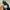NIKE AIR MAX TN PLUS FULL BLACK photo 6