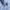 Tracktop Adidas Twenty 4 SVN photo 8
