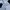 Tracktop Adidas Twenty 4 SVN photo 4