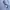 Tracktop Adidas Twenty 4 SVN photo 7